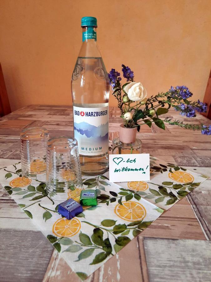 Ferienwohnung Zur Alten Post Lützen Extérieur photo